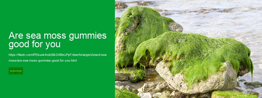 best sea moss gummies